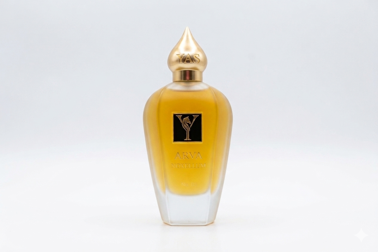 Yas Luxe Arva Noxellum
